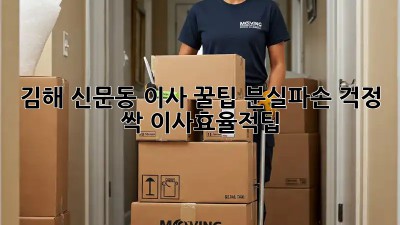 김해 신문동 이사 꿀팁🍯: 분실/파손 걱정 싹! #이사효율적팁