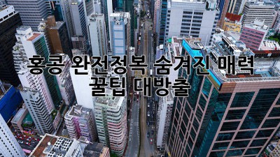 ✨홍콩 완전정복✨ 숨겨진 매력 & 꿀팁 대방출!🇭🇰